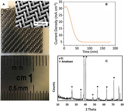 Enhanced Electrochemical Performance of Electropolymerized Self-Organized TiO2 Nanotubes Fabricated by Anodization of Ti Grid